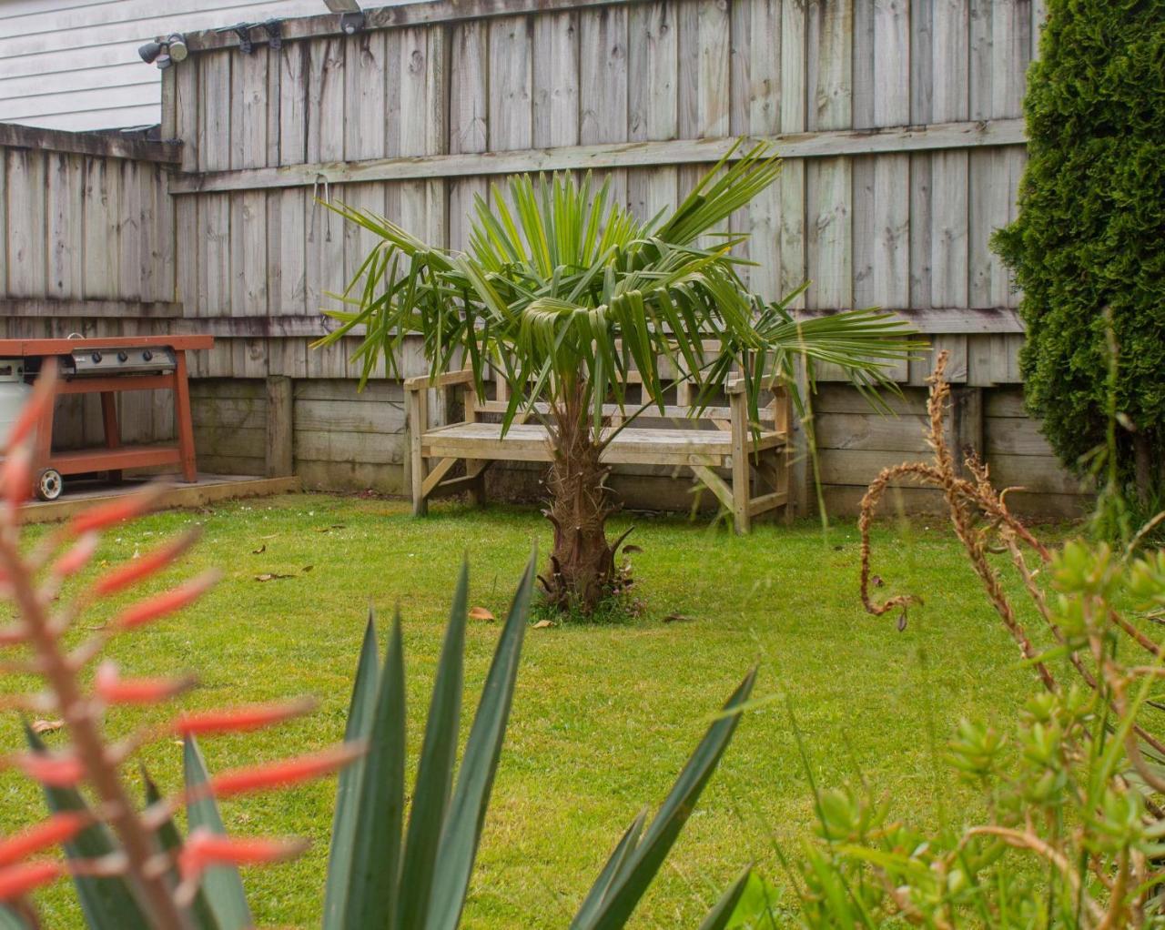 Palm Motel Waihi Exterior foto